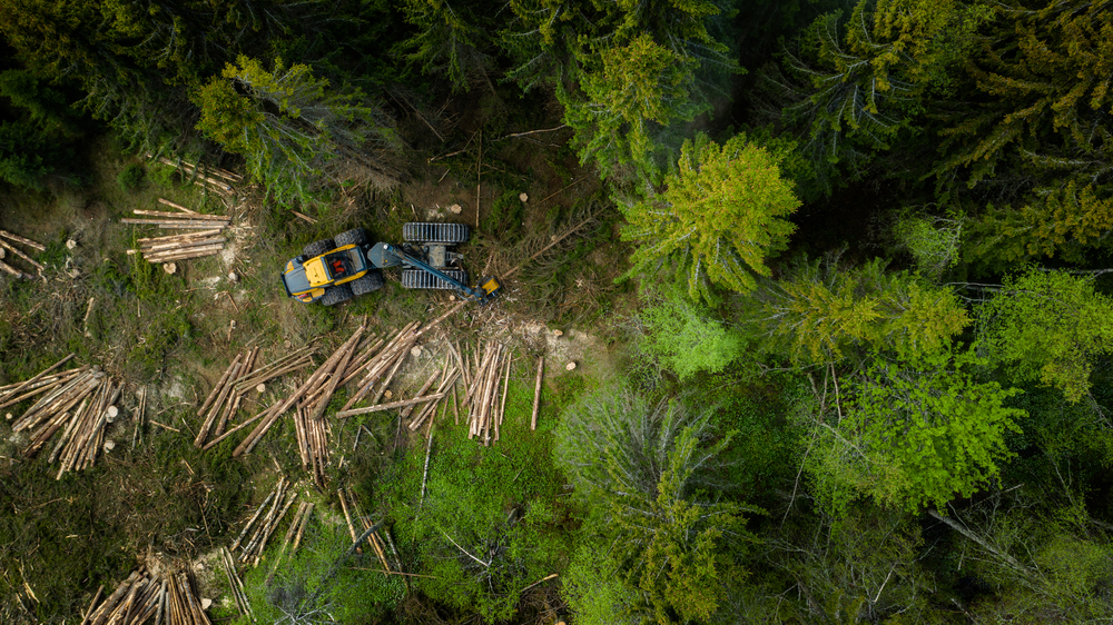 Five Ways Summit Evolution Helps Timber Companies | DAT/EM Systems ...